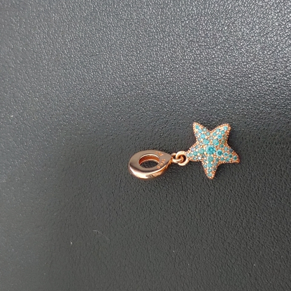 Pandora charm - Picture 1 of 2